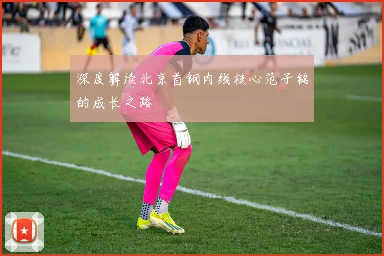 深度解读北京首钢内线核心范子铭的成长之路