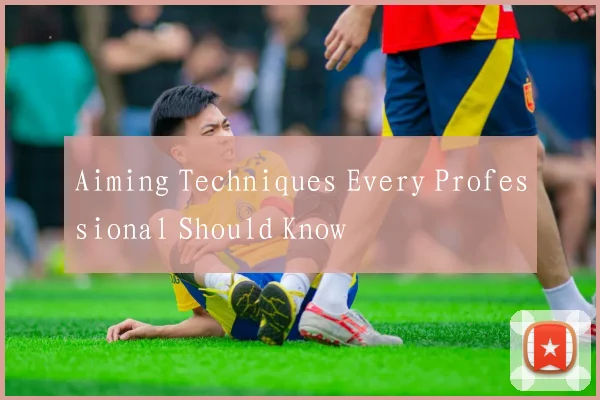 Aiming Techniques Every Professional Should Know